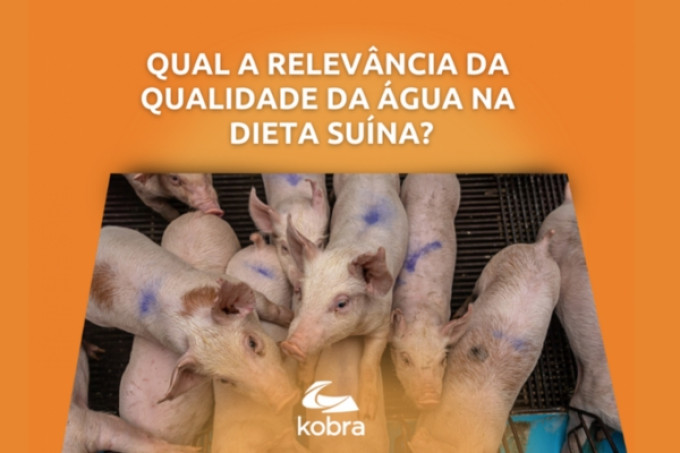 Relevância da qualidade da água na dieta suína